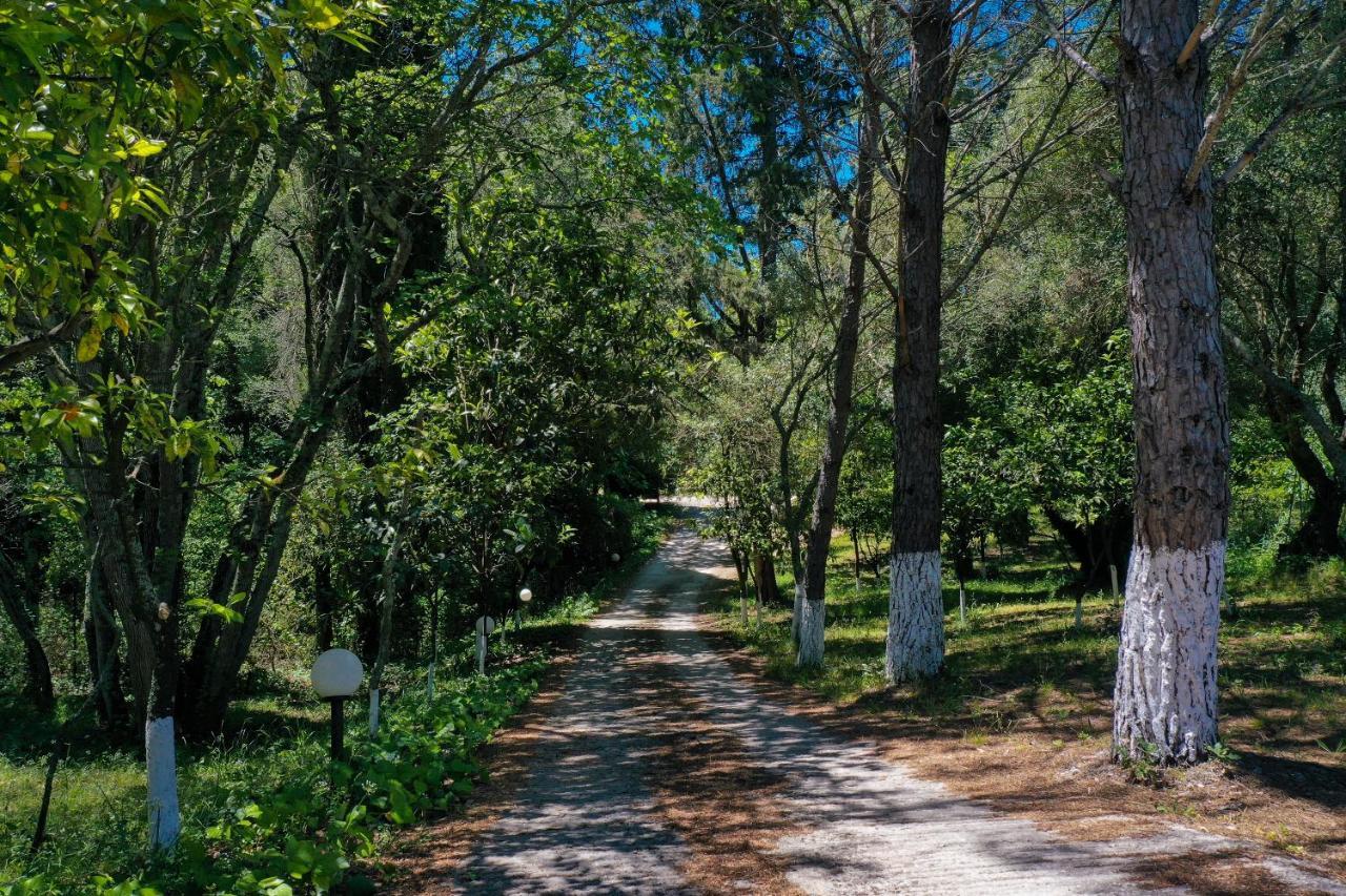 Postatiko Corfu Kynopiastai